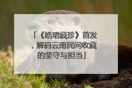 《皓珺藏珍》首发，解码云南民间收藏的坚守与担当
