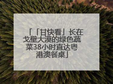 「甘快看」长在戈壁大漠的绿色蔬菜38小时直达粤港澳餐桌