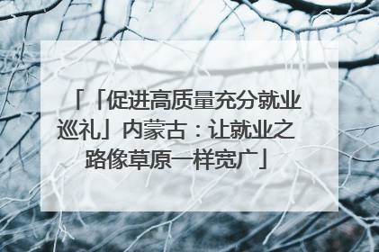 「促进高质量充分就业巡礼」内蒙古：让就业之路像草原一样宽广