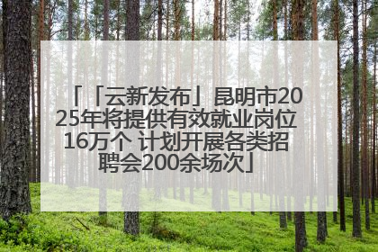「云新发布」昆明市2025年将提供有效就业岗位16万个 计划开展各类招聘会200余场次
