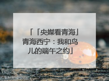 「央媒看青海」青海西宁：我和鸟儿的端午之约