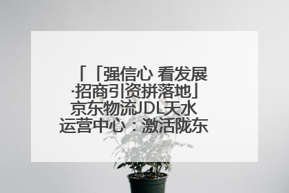 「强信心 看发展·招商引资拼落地」京东物流JDL天水运营中心：激活陇东南区域经济新引擎