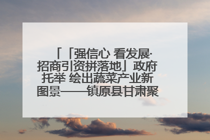 「强信心 看发展·招商引资拼落地」政府托举 绘出蔬菜产业新图景——镇原县甘肃聚广利现代设施蔬菜种植基地见闻