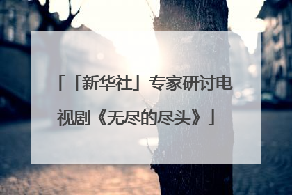 「新华社」专家研讨电视剧《无尽的尽头》