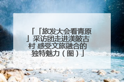 「旅发大会看青原」采访团走进渼陂古村 感受文旅融合的独特魅力（图）