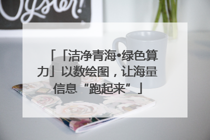 「洁净青海•绿色算力」以数绘图，让海量信息“跑起来”