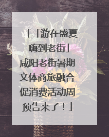 「游在盛夏 嗨到老街」咸阳老街暑期文体商旅融合促消费活动周预告来了！