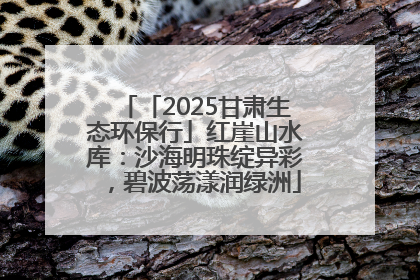「2025甘肃生态环保行」红崖山水库：沙海明珠绽异彩，碧波荡漾润绿洲