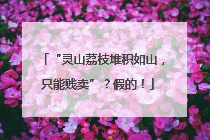 “灵山荔枝堆积如山，只能贱卖”？假的！