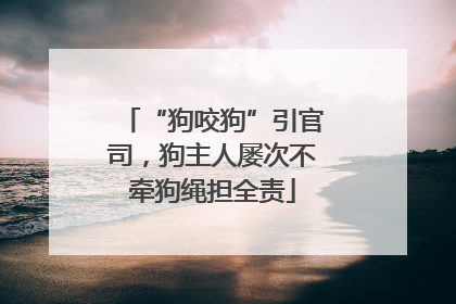 “狗咬狗”引官司，狗主人屡次不牵狗绳担全责
