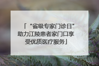 “省级专家门诊日”助力江陵患者家门口享受优质医疗服务