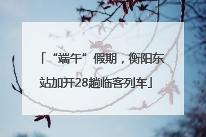 “端午”假期，衡阳东站加开28趟临客列车