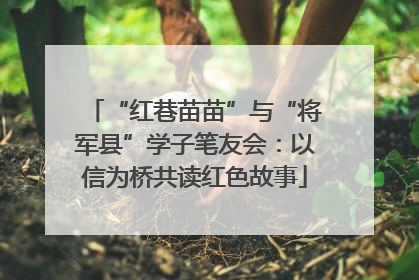“红巷苗苗”与“将军县”学子笔友会：以信为桥共读红色故事