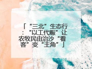 “三北”生态行：“以工代赈”让农牧民由治沙“看客”变“主角”