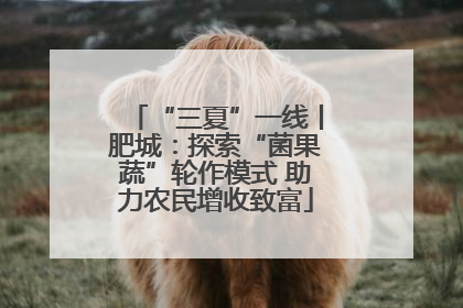 “三夏”一线丨肥城：探索“菌果蔬”轮作模式 助力农民增收致富