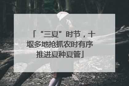“三夏”时节，十堰多地抢抓农时有序推进夏种夏管