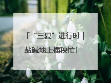 “三夏”进行时｜盐碱地上插秧忙