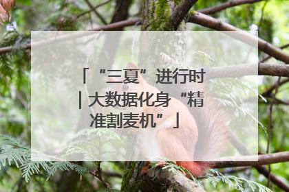 “三夏”进行时｜大数据化身“精准割麦机”