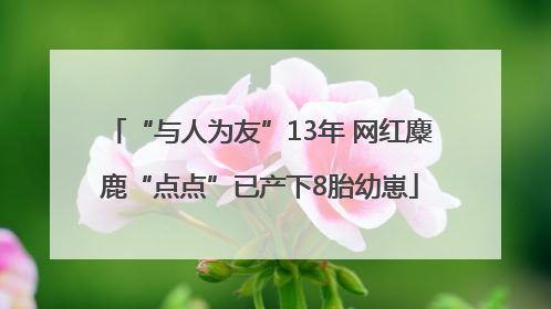 “与人为友”13年 网红麋鹿“点点”已产下8胎幼崽