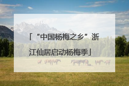“中国杨梅之乡”浙江仙居启动杨梅季