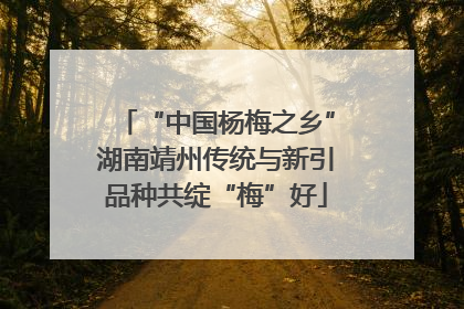 “中国杨梅之乡”湖南靖州传统与新引品种共绽“梅”好