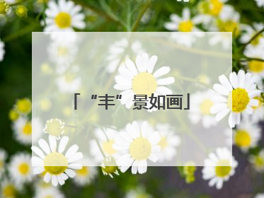 “丰”景如画