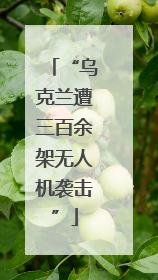 “乌克兰遭三百余架无人机袭击”