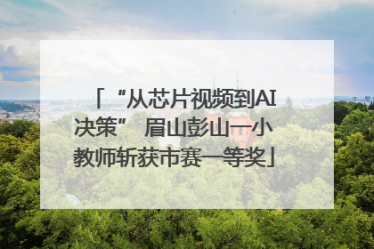 “从芯片视频到AI决策” 眉山彭山一小教师斩获市赛一等奖