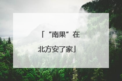 “南果”在北方安了家