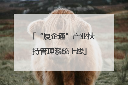“厦企通”产业扶持管理系统上线