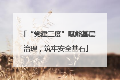 “党建三度”赋能基层治理，筑牢安全基石
