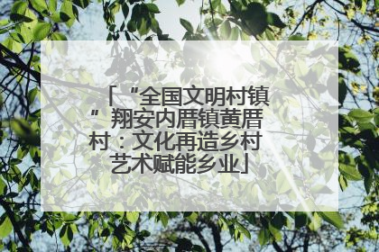 “全国文明村镇”翔安内厝镇黄厝村：文化再造乡村 艺术赋能乡业