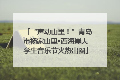 “声动山里！”青岛市杨家山里•西海岸大学生音乐节火热出圈