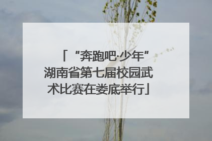 “奔跑吧·少年”湖南省第七届校园武术比赛在娄底举行