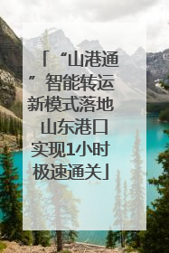 “山港通”智能转运新模式落地 山东港口实现1小时极速通关