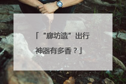 “廊坊造”出行神器有多香？