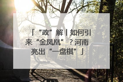 “政”解丨如何引来“金凤凰”？河南亮出“一盘棋”