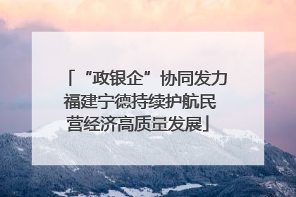 “政银企”协同发力 福建宁德持续护航民营经济高质量发展