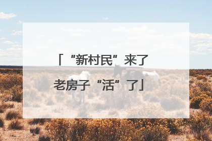 “新村民”来了 老房子“活”了
