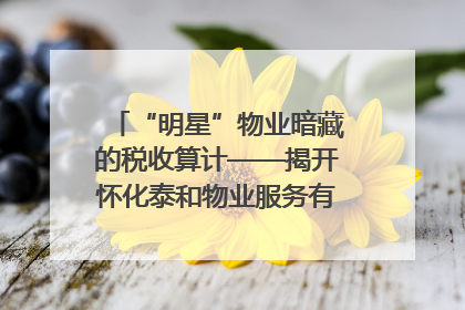 “明星”物业暗藏的税收算计——揭开怀化泰和物业服务有限公司隐匿未开票收入偷税真相