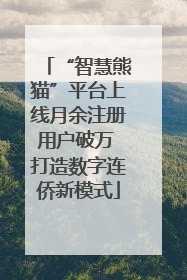 “智慧熊猫”平台上线月余注册用户破万 打造数字连侨新模式
