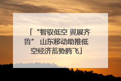“智驭低空 翼展齐鲁” 山东移动助推低空经济蓄势腾飞