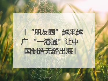 “朋友圈”越来越广 “一港通”让中国制造无缝出海