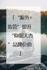“服务+监管”提升“仰韶大杏”品牌价值