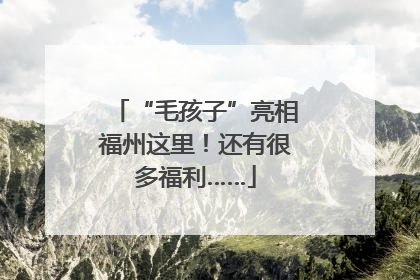 “毛孩子”亮相福州这里！还有很多福利……