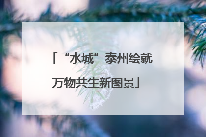 “水城”泰州绘就万物共生新图景