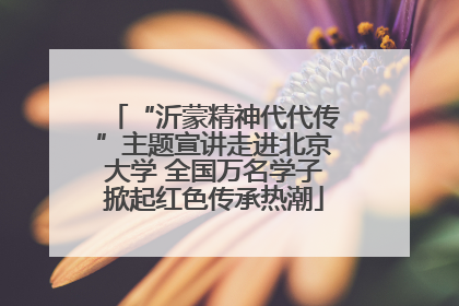 “沂蒙精神代代传”主题宣讲走进北京大学 全国万名学子掀起红色传承热潮