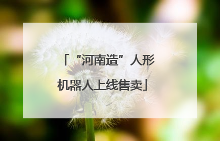“河南造”人形机器人上线售卖