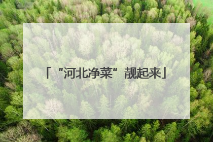 “河北净菜”靓起来