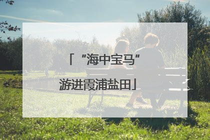 “海中宝马”游进霞浦盐田